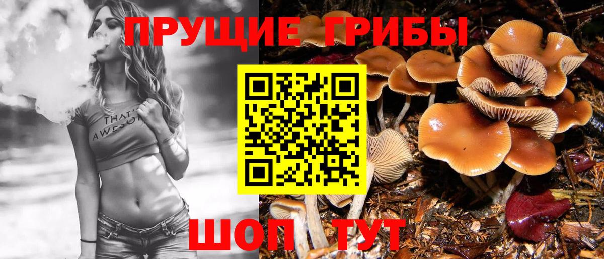 Гуково  Псилоцибиновые грибы ЛСД  Вход с VPN 
